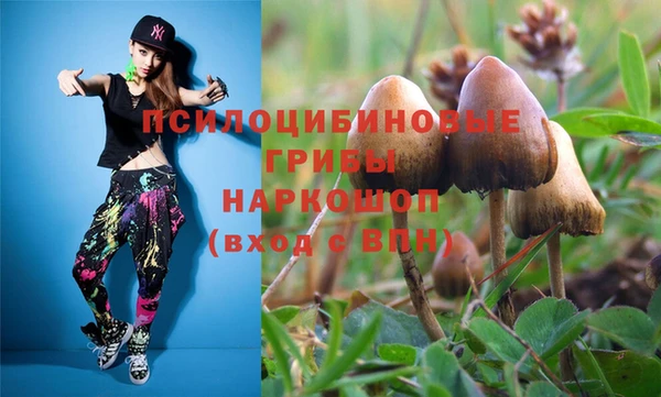 дживик Алексин