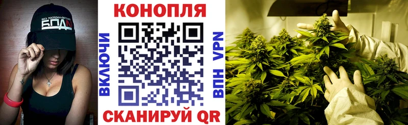 kraken как зайти даркнет как зайти МАРИХУАНА тримм закладка Апатиты